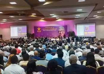 Por un Comité Central del PLD más funcional